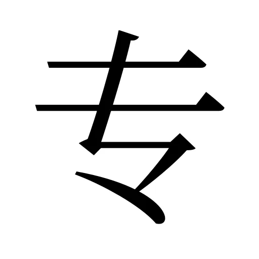 专