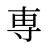 専
