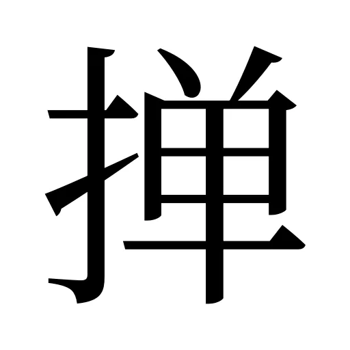 掸