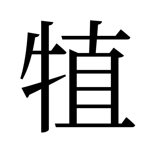 犆