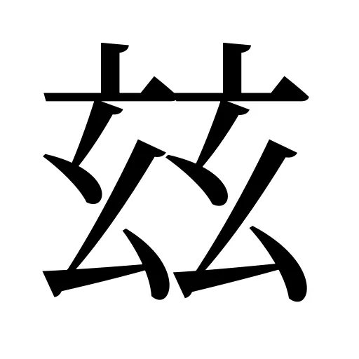 玆