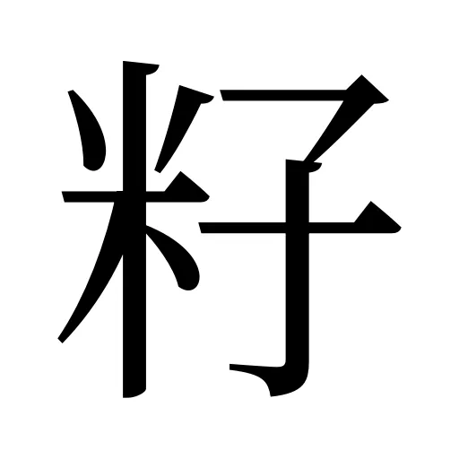 籽