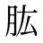 肱