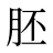 胚