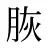 脄