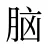 脑