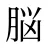 脳
