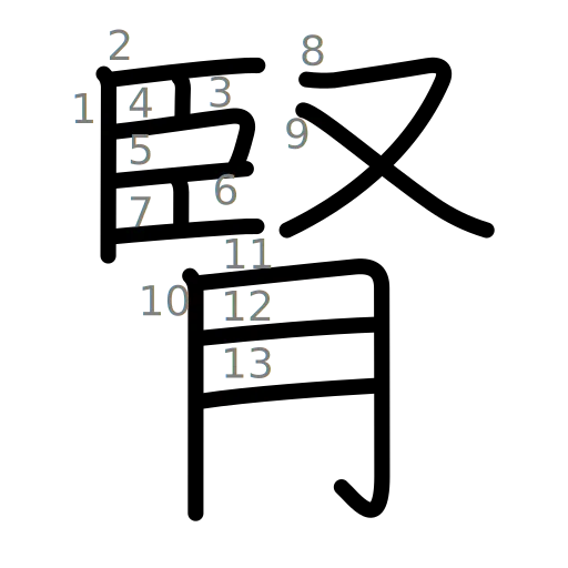 腎の書き順