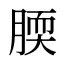 腝