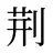 荆