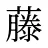 藤