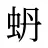 蚒