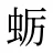 蛎
