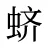 蛴