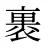 裹