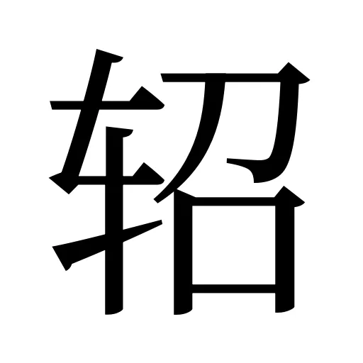 轺