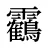 靏