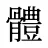 體