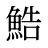 鯌