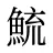 鯍