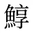 鯙