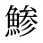 鯵
