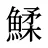 鰇