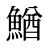 鰌