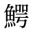 鰐