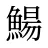 鰑