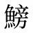 鰟