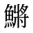 鱂