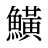 鱑