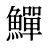鱓