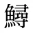 鱘