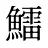鱩