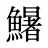 鱪