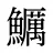 鱱