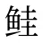 鲑