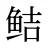鲒