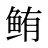 鲔