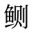 鲗
