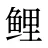鲤
