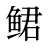 鲪