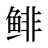 鲱