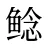 鲶