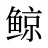 鲸