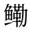 鳓