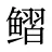 鳛