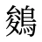 鵕
